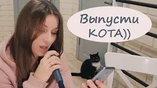 Кот не выдержал такой грустной песни))) Уматурман 