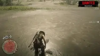 Red Dead Redemption 2 Apparently I was huntin pelicans out of season