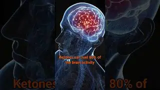 KETONE-IQ will rock you BRAIN 🧠🤯🚀🔥📈