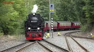 Sonderfahrt am 28.09.18 mit dem Fischstäbchen  durch das Selketal