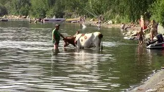 Camping in Russia & SUPERMOON