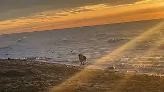 The actually Rise of the Sun over the Ocean at the very end of Europe - Enjoy !! 