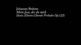 Joh. Brahms - Mein Jesu, der du mich Walcker Organ Doesburg