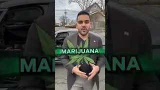 POLICE CAN NOT SEARCH YOUR CAR BECAUSE OF THE ODOR OF MARIJUANA!? #shorts