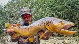 TROTA FARIO GIGANTE in PICCOLO TORRENTE 🏔️-- MIGLIORE CATTURA DEL 2025?? 🫢🎣