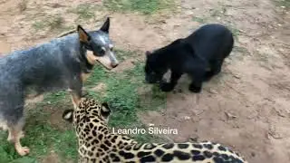 O dia amanheceu agitado aqui no IOP 😜😍🙌