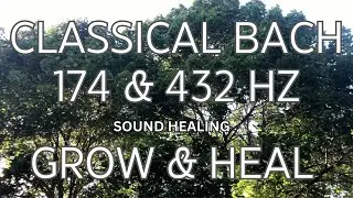 432.174Hz Bach Goldberg Variations 'Aria Da Capo' | Classical Music & Solfeggio Frequencies to Relax