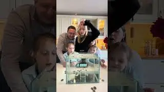 Coin Drop Challenge