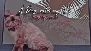 A Day with my Cat | Homemade Pasta | Unboxing, Silent Vlog Jeddah | Expat Daily Life