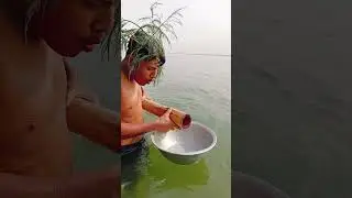 Amazing Fish Catch Using Bamboo #fishing #shorts #foryou #riverfishing #bambootrap #amazing #viral