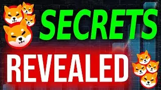 SHIBA INU WILL REMOVE 1 ZERO BEFORE CHRISTMAS!! - SHIBA INU COIN NEWS TODAY