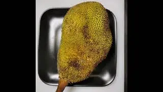 Cómo comprar, elegir, cortar, limpiar y comer Yaca fresca y consejos de qué hacer o cocinar con ella