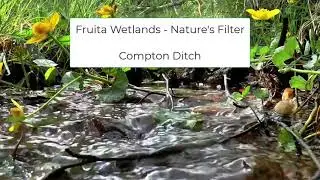 Fruita Wetland - Compton Ditch