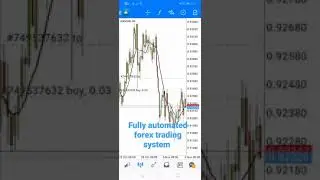fully automated forex trading system