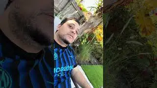 Roberto #vice2k pale sou koze #delane anpil media ap bay yo 🗣️
