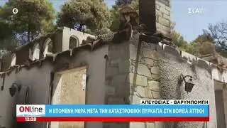 Greek wildfires aftermath , Varympompi Athens - Burned house - Timelapse - How to help