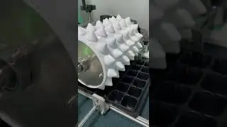 nursery seeding machine : 1000trays/H#nursery #vegetables seeder #Seed #machine  #agro  #seedling
