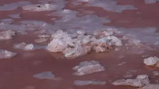 Fleur de sel harvesters keep tradition alive in southern France