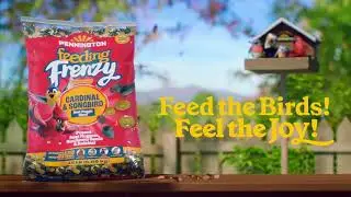 Pennington Wild Bird Food: The Bird Band