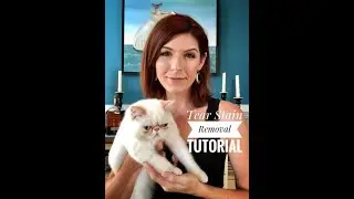 Removing Cat Tear Stains - A Tutorial (Using the Eye Envy Kit)