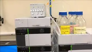 AB Sciex 4500 Triple Quad LCMS - TheLabWorldGroup