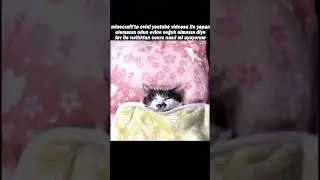 dostumun minecraftdakı evini ısıtırken @RufatMemes2