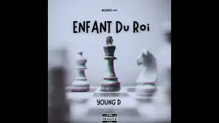 Young D _CRAZY [ visualizer ]