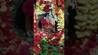 Maa Buddhi Thakurani Temple Sandhya Alati #youtubeshorts #shorts #short #viral #berhampur