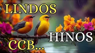 480 HINOS CCB CANTADOS- 10/01/2026- 1,2,3,4,5,6,7,8,9,10,11,12,13,14,15,16,17,18,19,20,21,22,23,24..