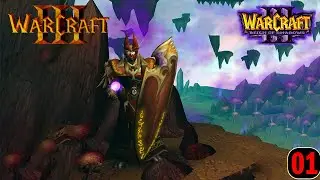 Warcraft III Alternate 3 | (Alliance Campaign) -  Colonization of Kalimdor 01 - New Lands