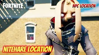 Nitehare Location - NPC Character Location - Fortnite