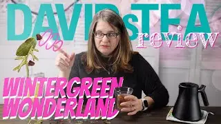 DAVIDsTEA tea review WINTERGREEN WONDERLAND - tea tasting and review on Tea with Jann