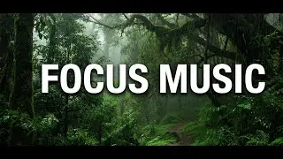 Forest Lofi 🌲 Deep Focus Music for Work & Study