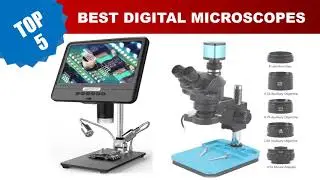 Top 5 Best Digital Microscopes 2024, Best Microscope On The Market
