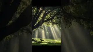 Relaxing and sleeping tune ... piano and rain 🌧️ ( copyright free)