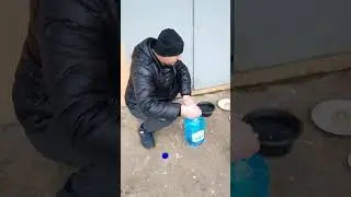 Water for Stray Cats / Working With Them 🔥