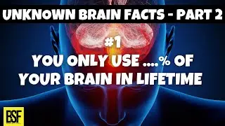 6 cool facts about your brain | cool brain facts | part 2