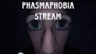 Phasmophobia with friends