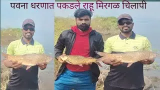 Rahu Tilapia miragal Fishing at Pawana dam  Singel hook gucha hook fishing technique#fish #fishing