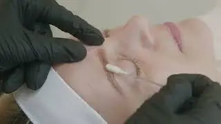 Microblading with @Cosmobyhaley in Portland, OR at Daela Cosmetic Tattoo