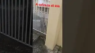 a safira ali🙄😰😰😰