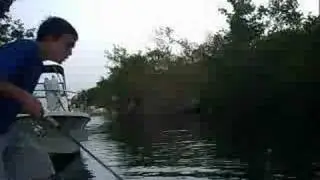 Trip to the keys goes wrong (episode 1)