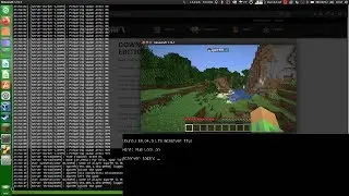 Transformando um computador em um servidor de Minecraft dedicado com Linux