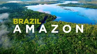AMAZON KIYISINDA YURUYUS#kesfet #amazondayasam #brezilya 