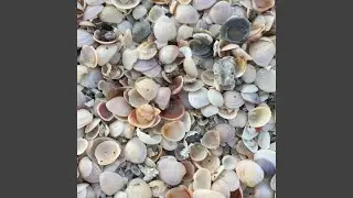 Intro