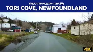 🚗 Scenic 4K Drive Through Tors Cove, Newfoundland | Coastal Beauty & Breathtaking Views 🌊🇨🇦