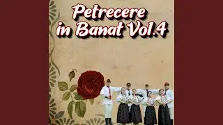1,2,3 BANATENI MEIV