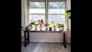 Building a Custom Console Table for My Plant Obsession