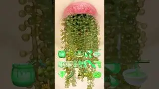 ASMR SEA GRAPES 바다포도 (eating sounds)