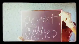 Elephant Being Washed-One Mime at a Time
